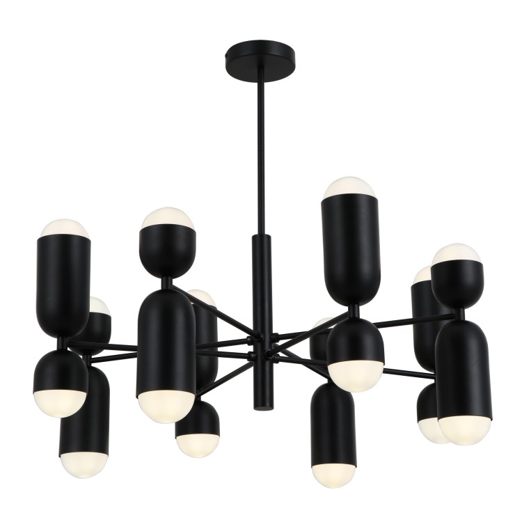 Black Metal Arms 16-Bulbs Lights