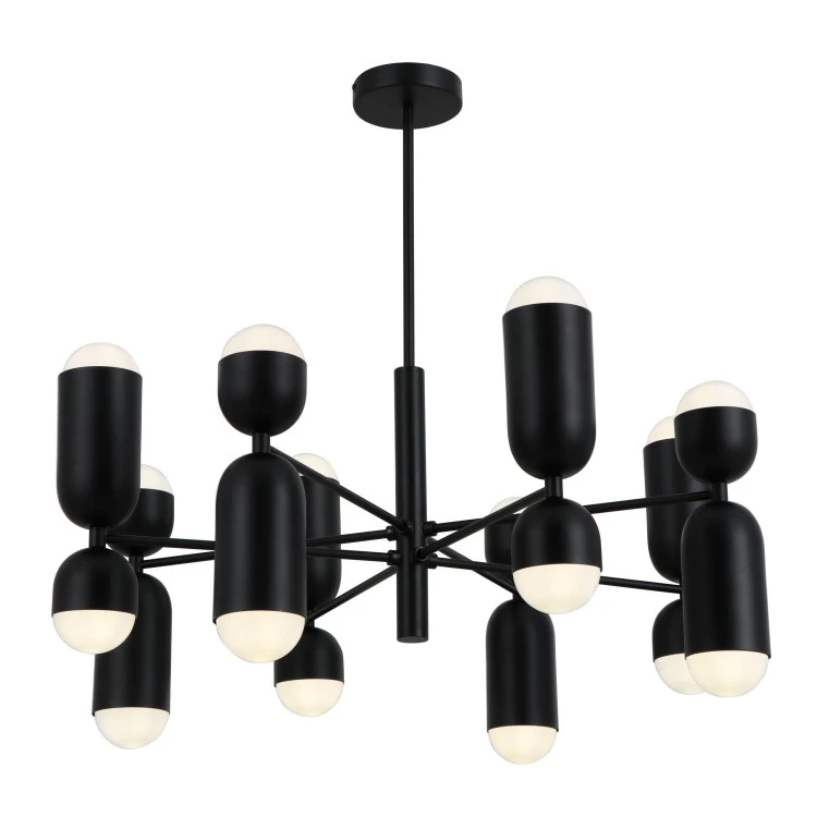 Black Metal Arms 16-Bulbs Lights